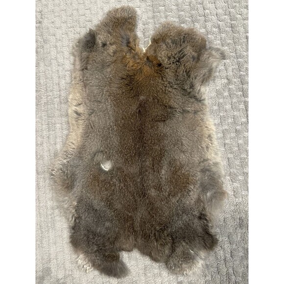 Other - Genuine Rabbit Pelt Gray Brown Tanned Real Fur Hide Taxidermy Oddities Curios